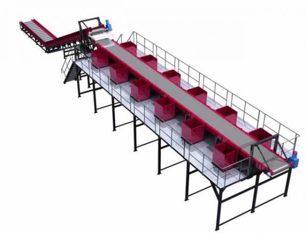 Сортировочная линия ленточная